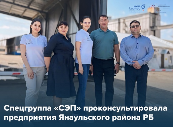 Компании Янаульского района Республики Башкортостан получили консультацию спецгруппы СЭП