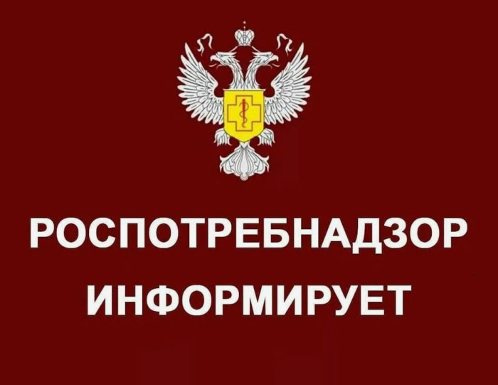 О приеме  уведомлений о начале осуществления  отдельных видов предпринимательской деятельности